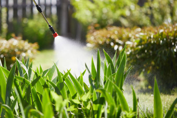 Tamper-Resistant Bait Stations for Rodents in Rivanna