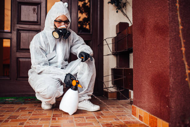 Attic and Crawl Space Rodent Treatment in Rivanna