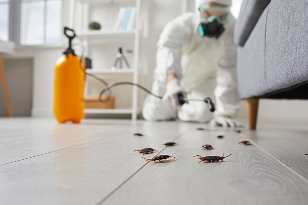 Commercial Rodent Management in Rivanna